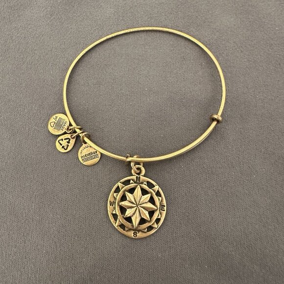 Alex and Ani Jewelry - Alex And Ani Bracelet Gold Tone Compass Direction 2014 USA Bangle Energy W/ Bag